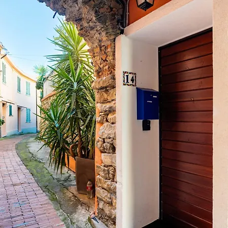 Terrazza Con Glicine By Interhome アラッシオ